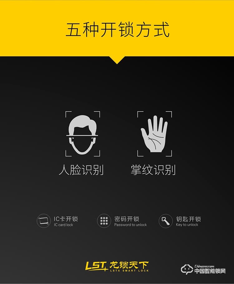 龍鎖天下智能鎖 人臉識別智能鎖 防盜門智能鎖Q7