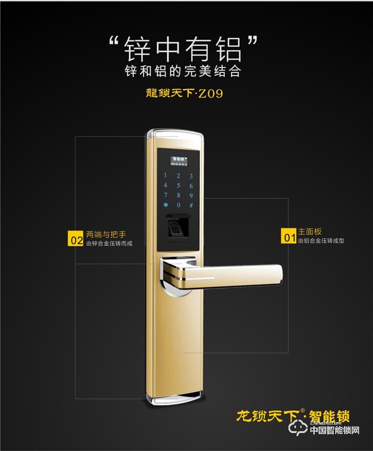 龍鎖天下智能鎖 指紋密碼鎖 防盜門鎖 電子刷卡鎖Z09