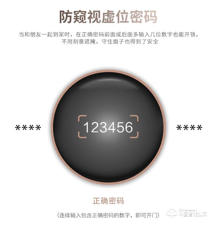 浩宇興智能鎖 人臉鎖掌靜脈密碼鎖手機遠程開鎖