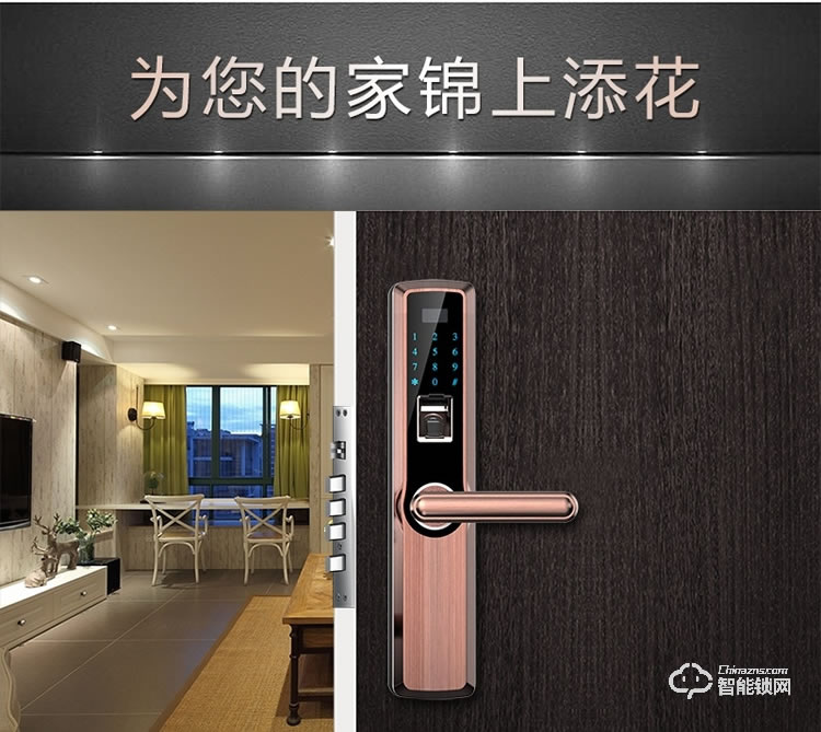 皇家金盾智能鎖 X2家用防盜門(mén)鎖電子鎖