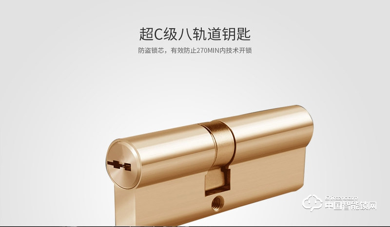 茵朗智能鎖 人臉識別智能鎖EF08