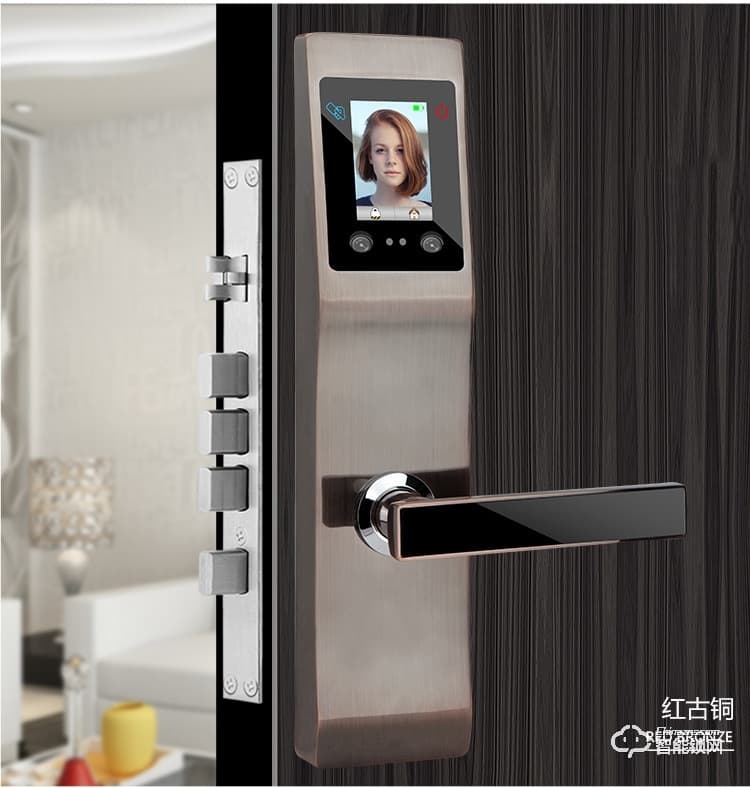 久富智能鎖 人臉識(shí)別智能鎖 家用防盜密碼鎖