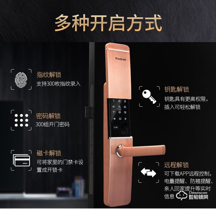威士迪智能鎖 家用防盜門半導體密碼鎖