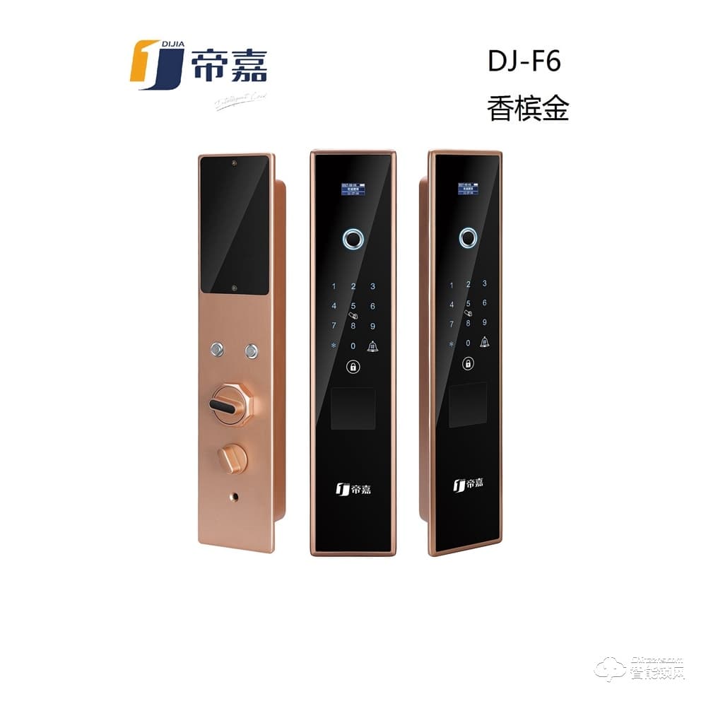 帝嘉智能鎖 全自動系列DJ-F6香檳金指紋密碼鎖