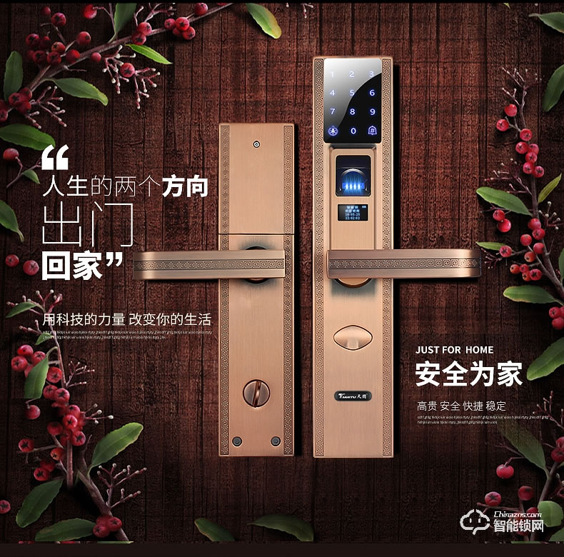 天圖智能鎖 家用智能電子鎖防盜門鎖