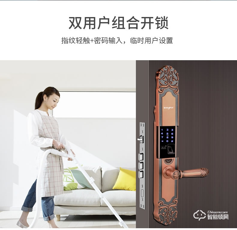 騰飛指紋鎖 歐式防盜門鎖智能密碼鎖