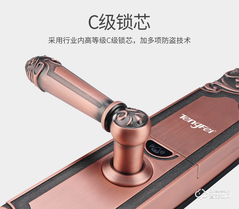騰飛指紋鎖 歐式防盜門鎖智能密碼鎖