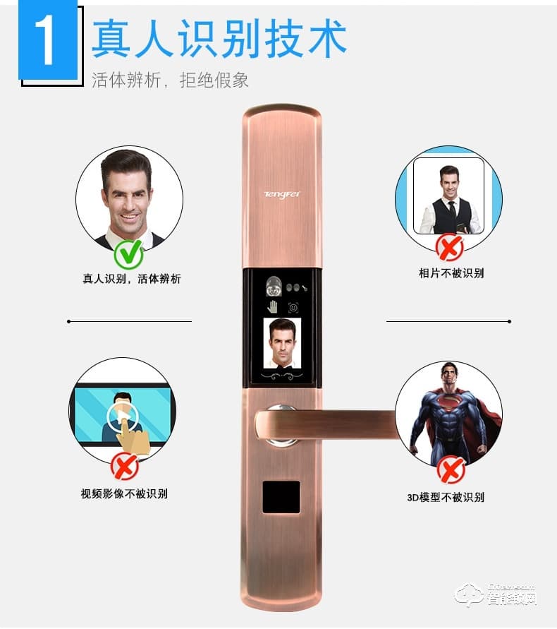 騰飛指紋鎖 智能人臉識(shí)別家用防盜門(mén)密碼鎖