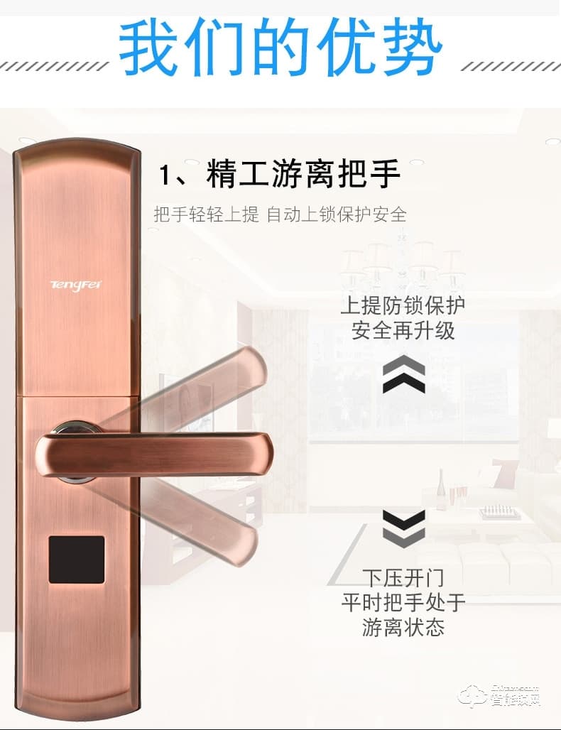 騰飛指紋鎖 智能人臉識(shí)別家用防盜門(mén)密碼鎖