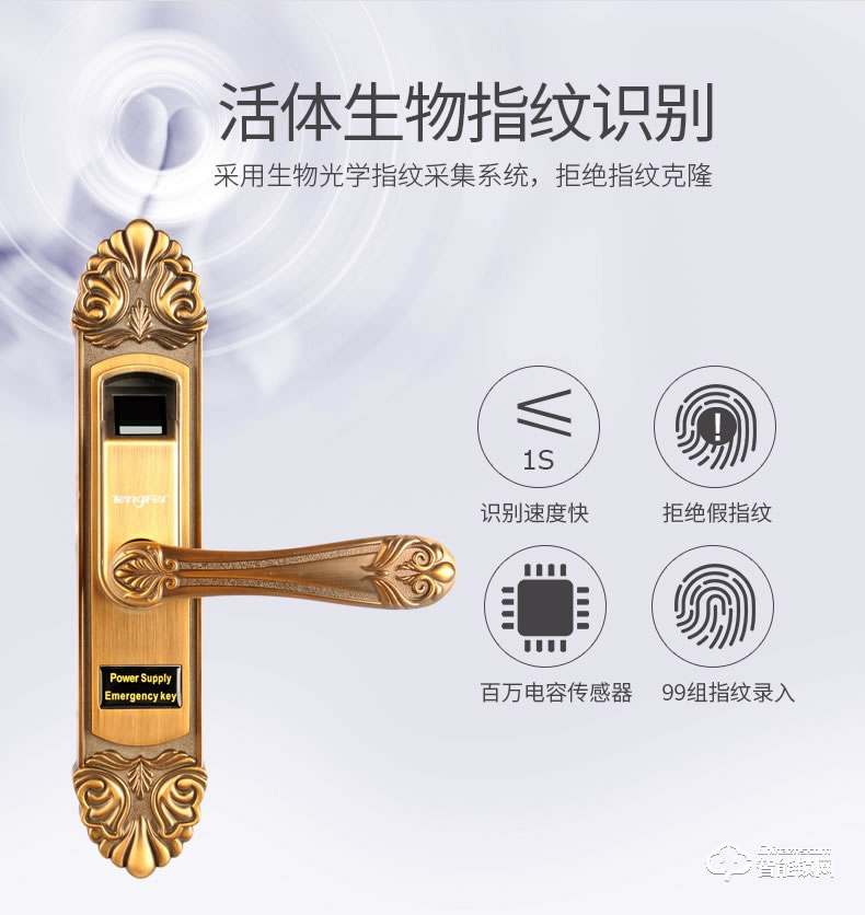 騰飛指紋鎖 家用房門鎖室內木門鎖