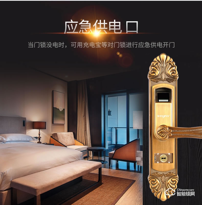 騰飛指紋鎖 家用房門鎖室內木門鎖