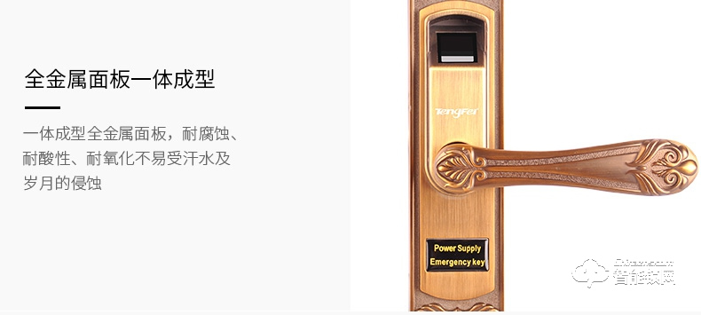 騰飛指紋鎖 家用房門鎖室內木門鎖