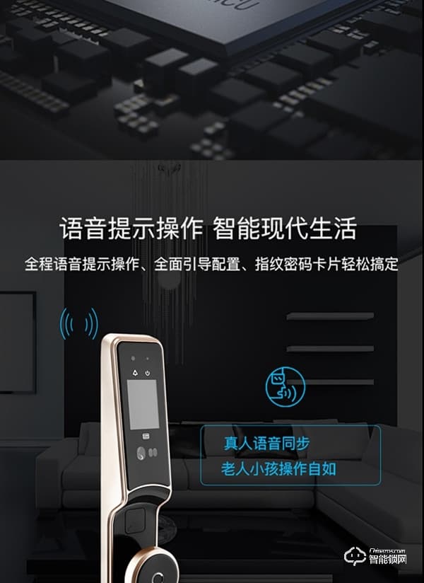 榮鑰指紋鎖 S19全自動人臉識別智能鎖