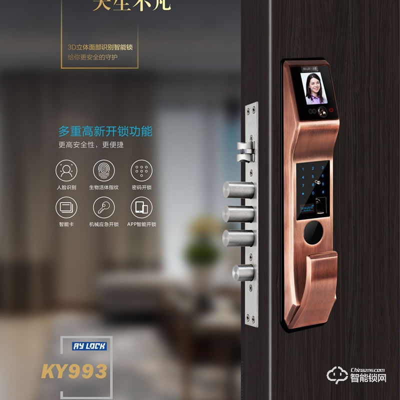 安源智能鎖 KY993人臉識別智能密碼鎖