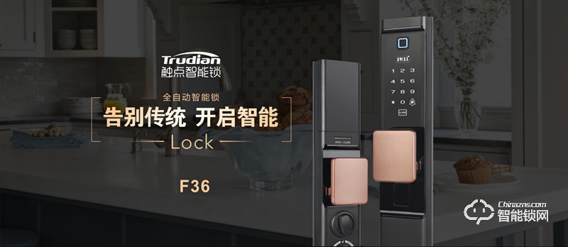 觸點智能鎖 F36鋁合金鎖體指紋鎖