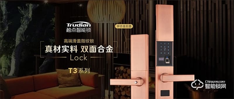 觸點(diǎn)智能鎖 T31時(shí)尚滑蓋智能鎖