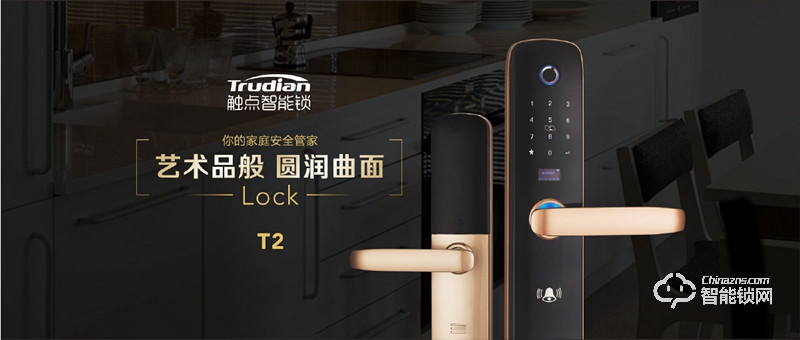 觸點智能鎖 T2曲面密碼智能鎖