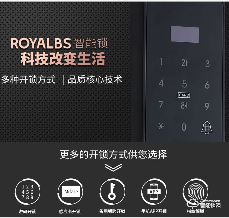 皇嘉博世智能鎖 家用防盜門(mén)鎖智能電子鎖