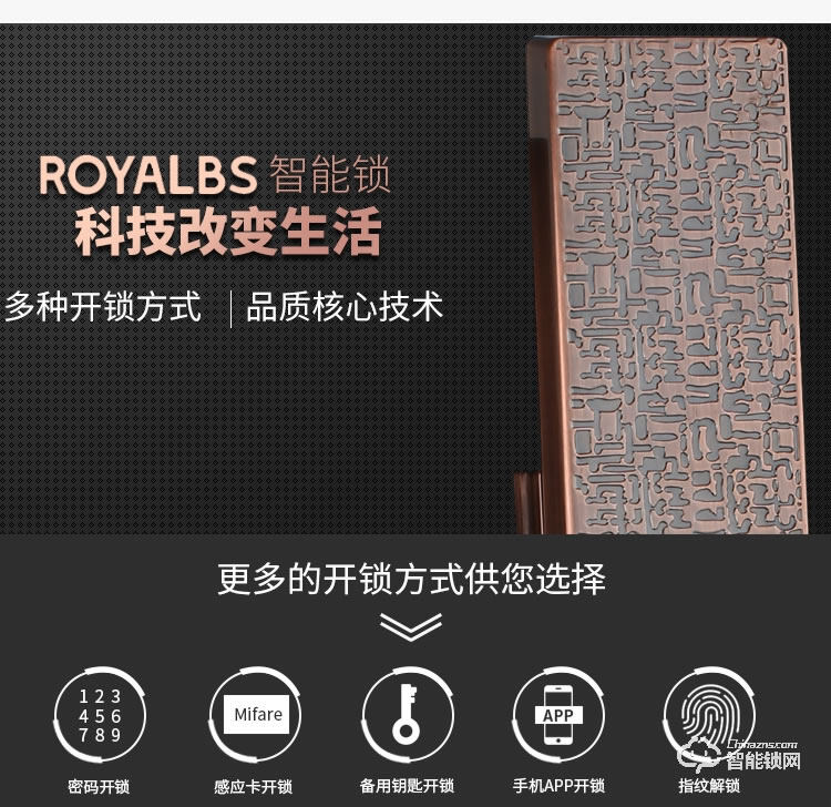 皇嘉博世智能鎖 家用防盜門智能鎖