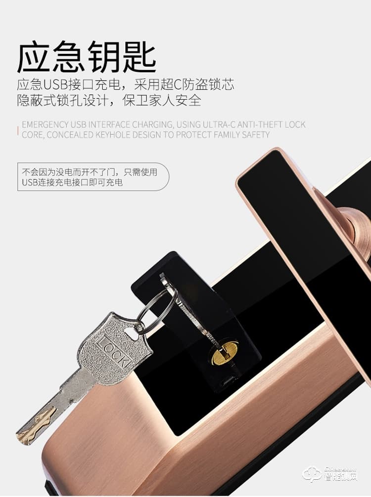 梵蒂安指紋鎖 全自動密碼鎖人臉識別鎖