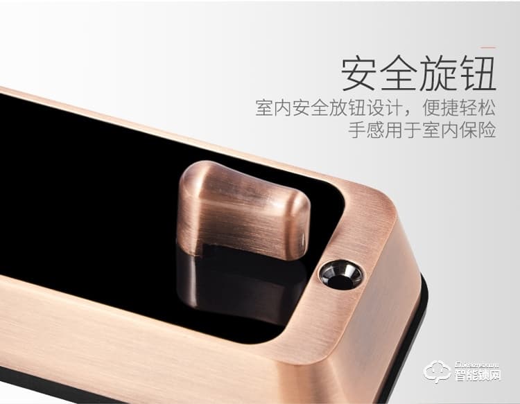 梵蒂安指紋鎖 全自動密碼鎖人臉識別鎖