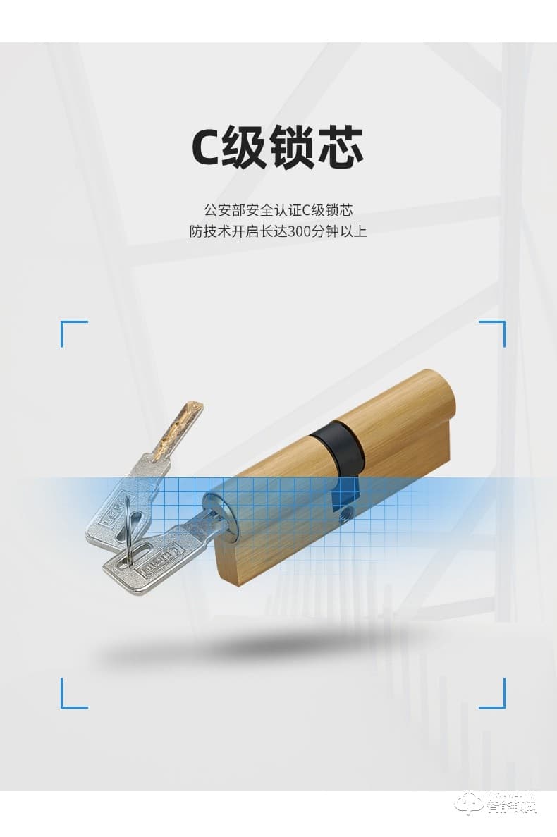 樂(lè)肯智能鎖 6609-L歐式古典大拉手智能門鎖