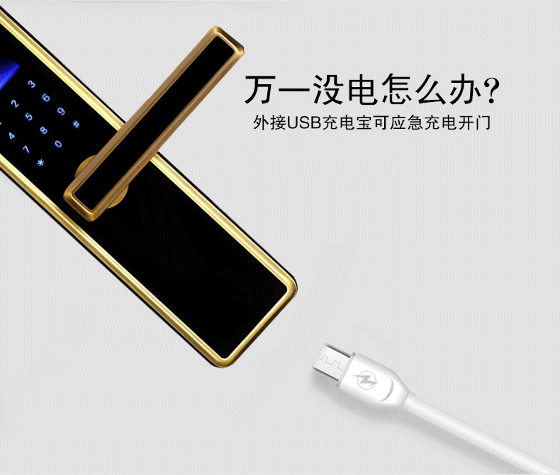 佰德龍智能鎖 239家用防盜門電子密碼鎖