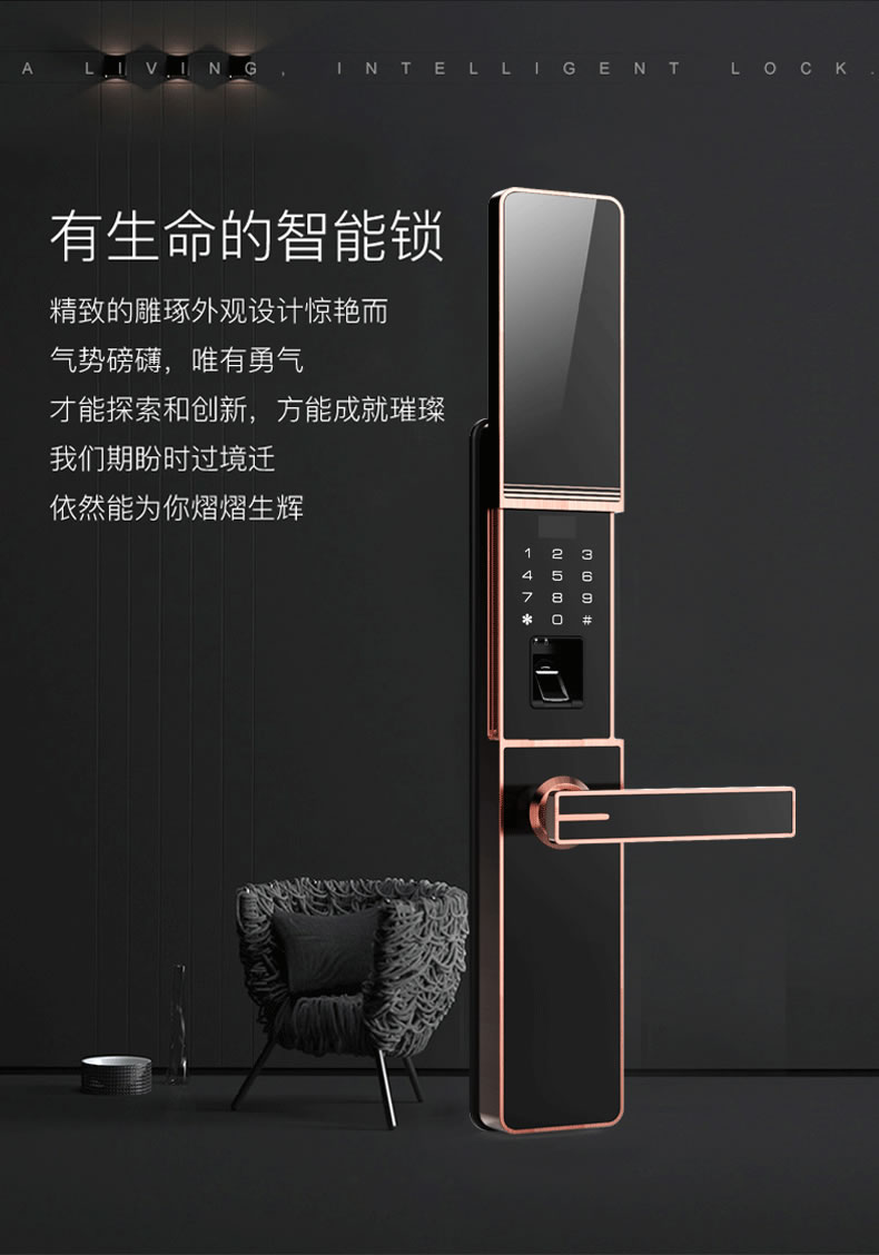 佰德龍智能鎖 219家用防盜門指紋鎖遠程智能鎖