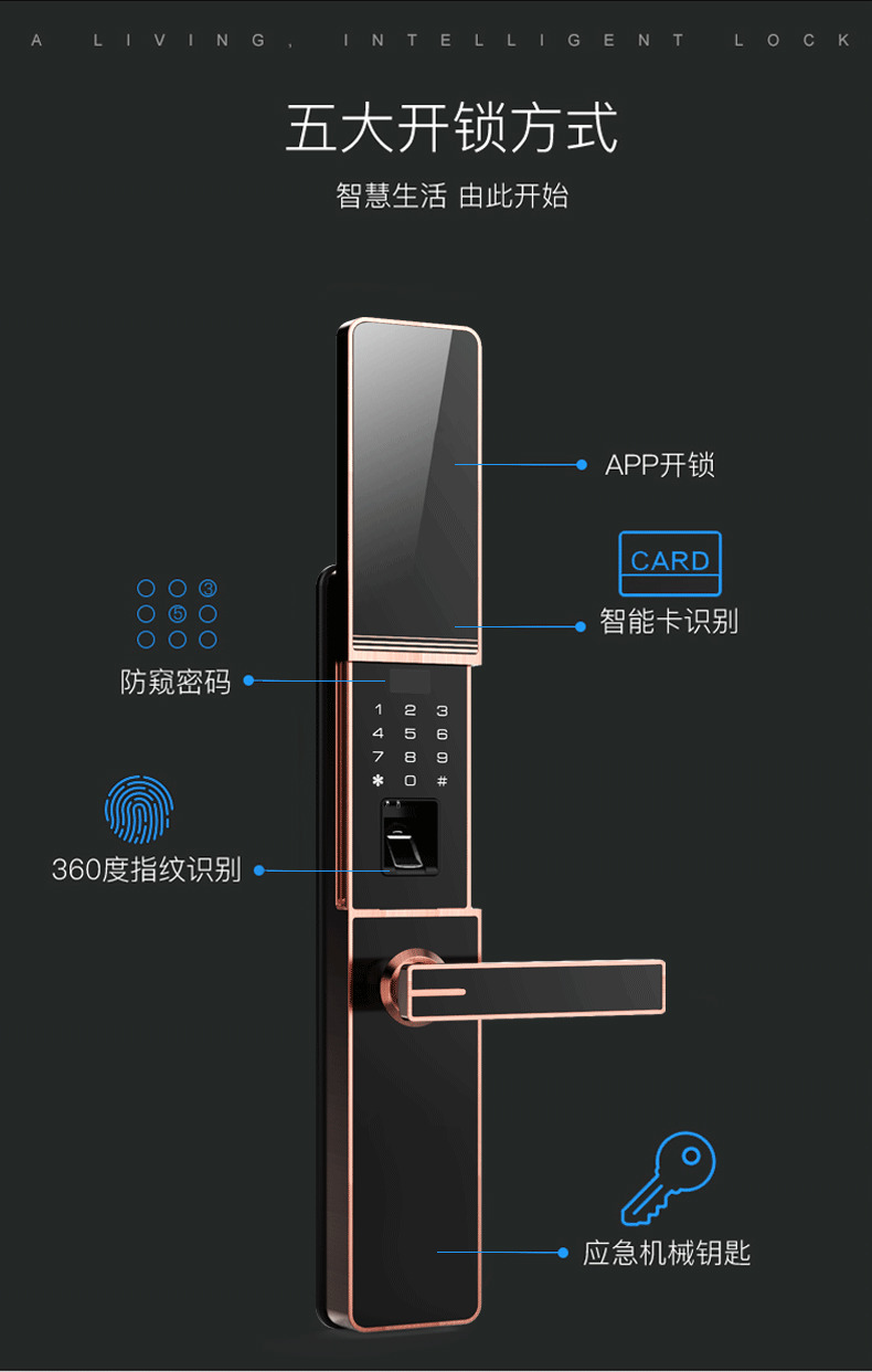 佰德龍智能鎖 219家用防盜門指紋鎖遠程智能鎖
