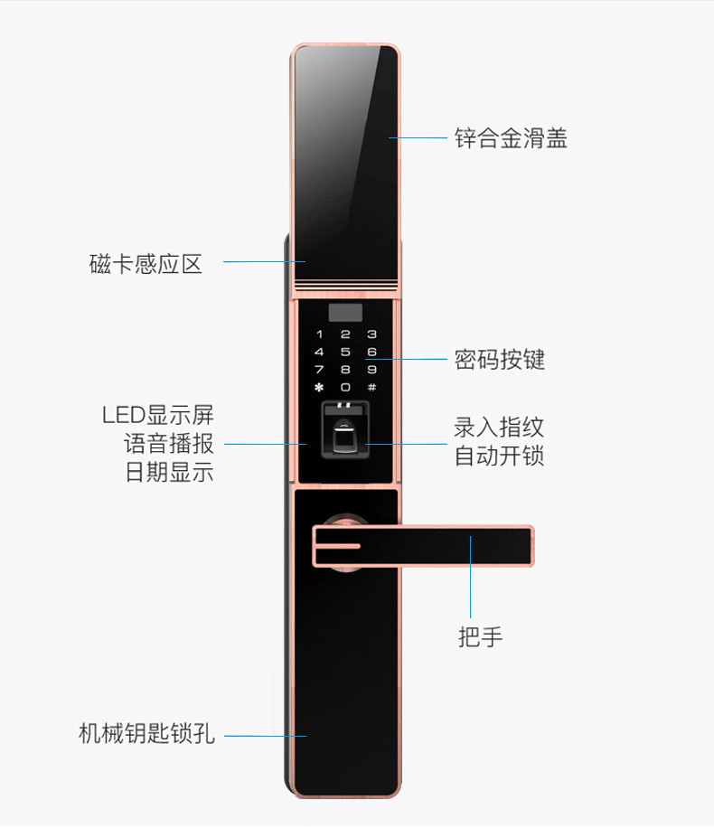 佰德龍智能鎖 219家用防盜門指紋鎖遠程智能鎖