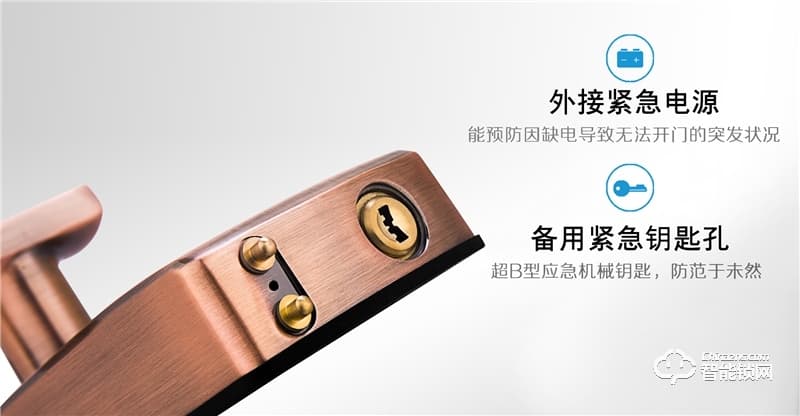 中祥Facedoor智能鎖 FD-01人臉識(shí)別鎖