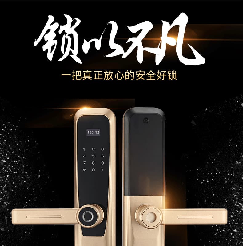 創(chuàng)鴻智能鎖 T21家用一握開把手指紋鎖