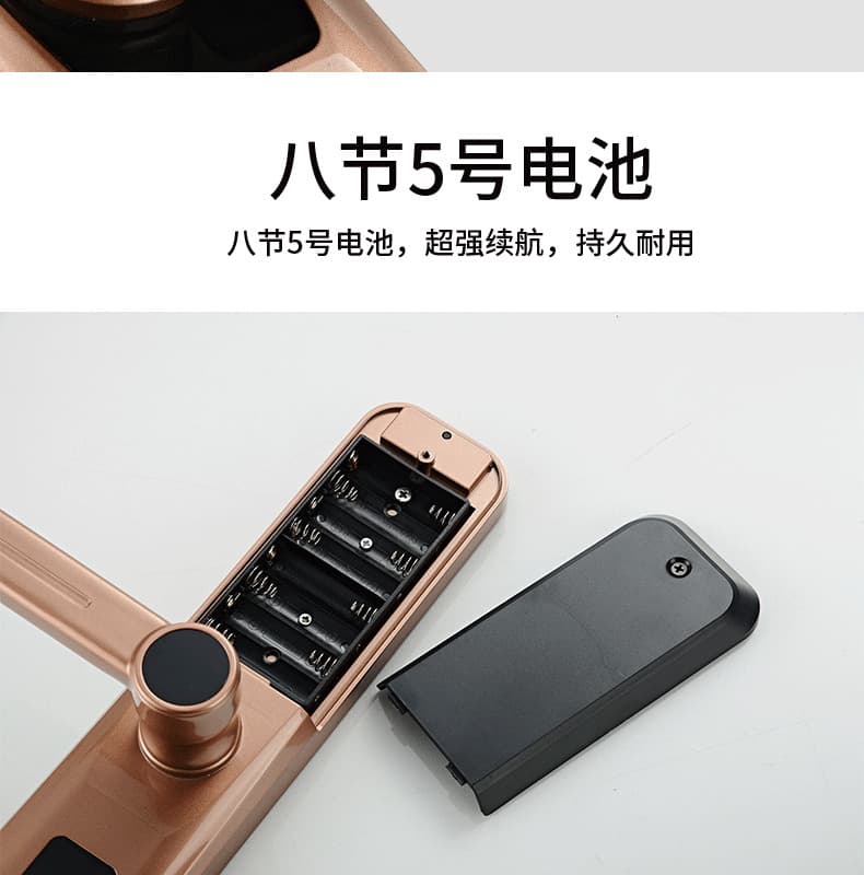 創(chuàng)鴻智能鎖 T21家用一握開把手指紋鎖