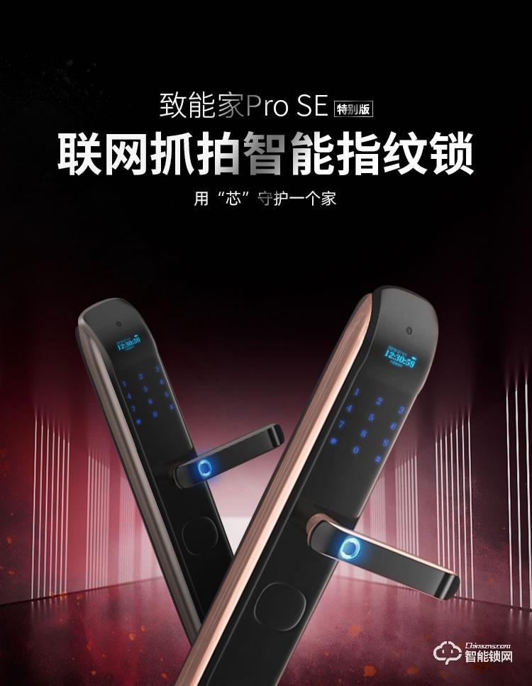 致能家智能鎖 ProSE家用指紋遠(yuǎn)程人臉抓拍智能鎖