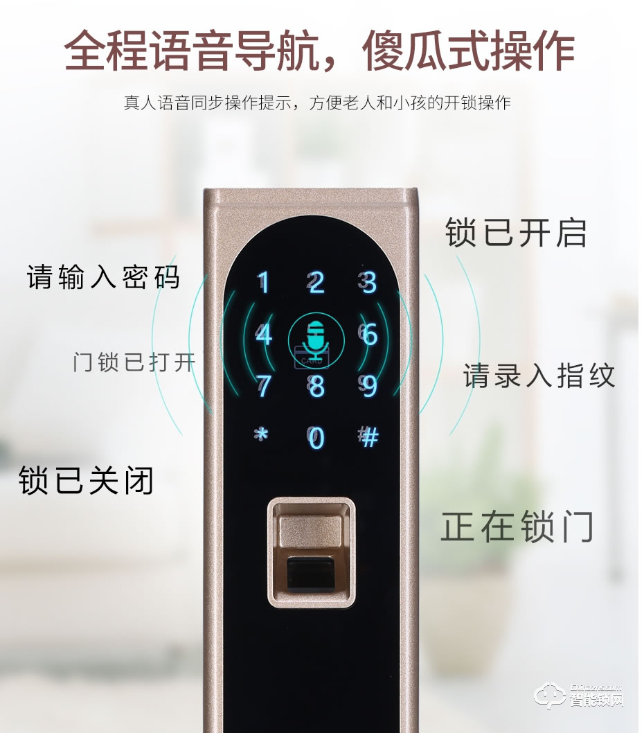 觸享智能鎖 CXL11系列時尚風智能門鎖