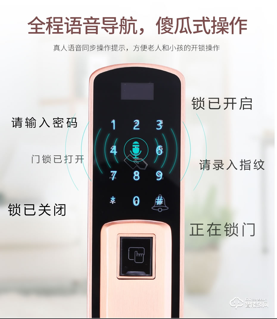 觸享智能鎖 CXL12系列時尚風智能門鎖