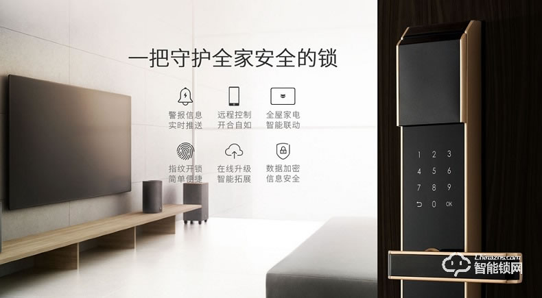 斑點貓智能鎖 W200物聯(lián)網(wǎng)指紋鎖家用防盜門鎖