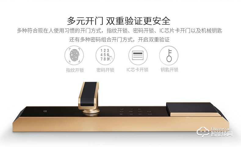 斑點貓智能鎖 W200物聯(lián)網(wǎng)指紋鎖家用防盜門鎖