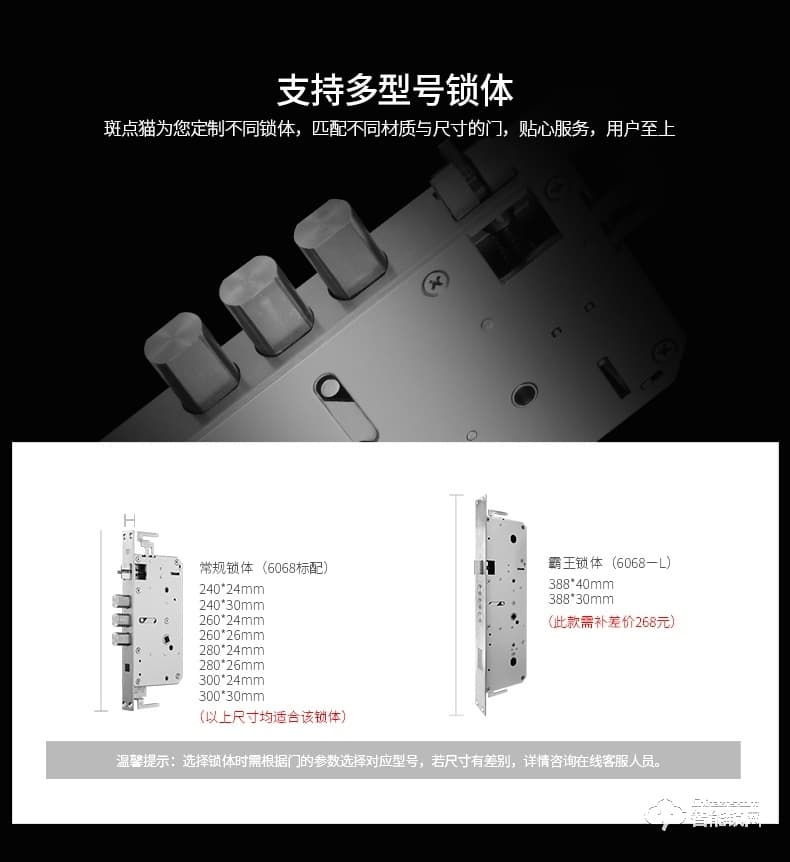 斑點貓智能鎖 W200物聯(lián)網(wǎng)指紋鎖家用防盜門鎖