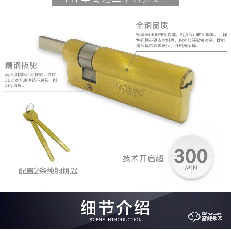 廣東凱恩斯智能鎖 自動開鎖遠程開門指紋密碼鎖