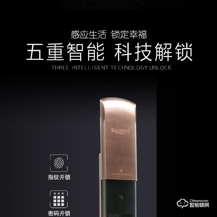 佛山凱恩斯智能鎖 家居指紋密碼鎖