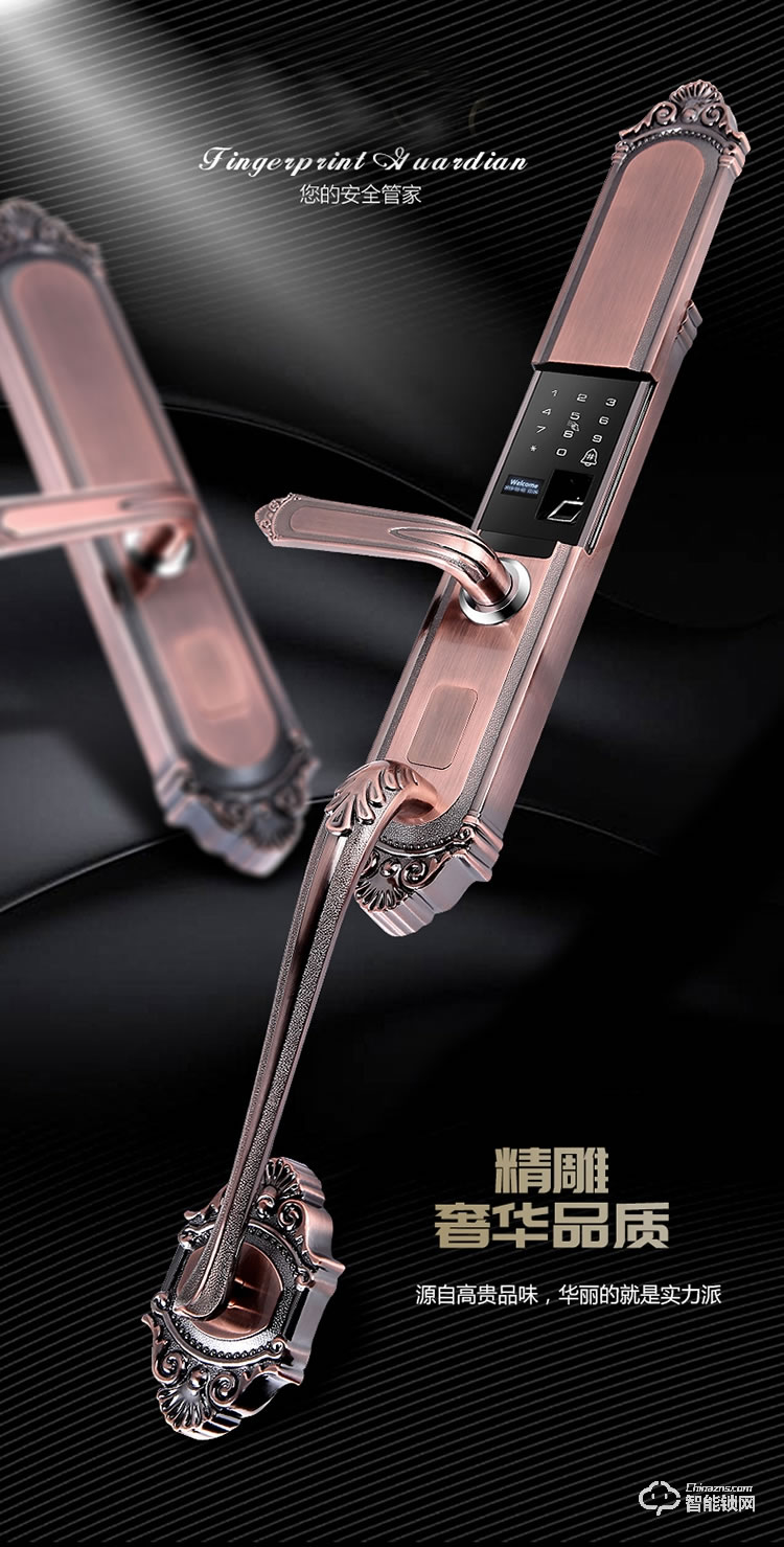 薩萊明智能鎖 V8別墅鋅合金智能門鎖