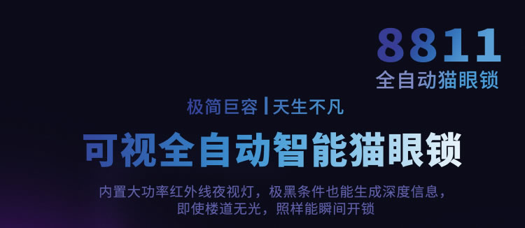 芯億迪智能鎖 全自動人臉識別智能鎖