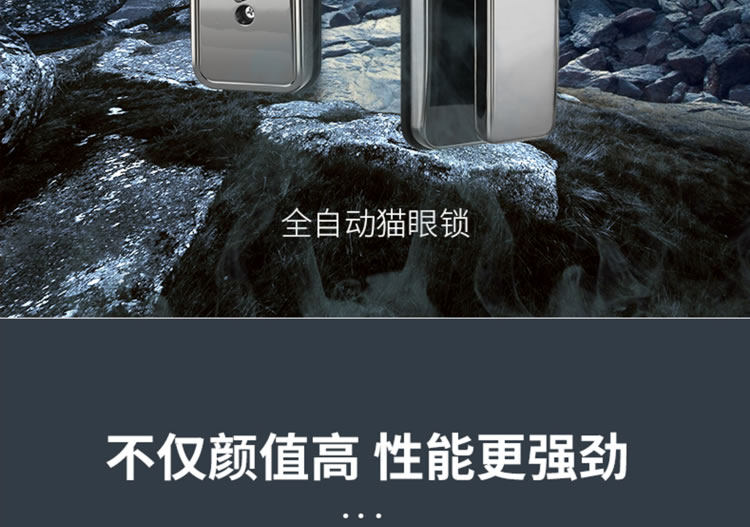 芯億迪智能鎖 全自動人臉識別智能鎖