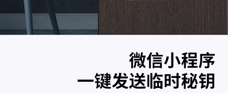 芯億迪智能鎖 全自動人臉識別智能鎖
