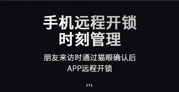 芯億迪智能鎖 全自動人臉識別智能鎖