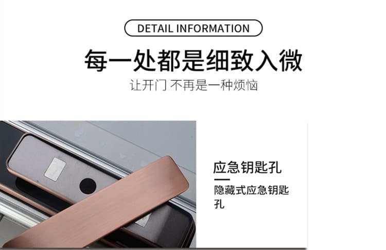 芯億迪智能鎖 全自動人臉識別智能鎖