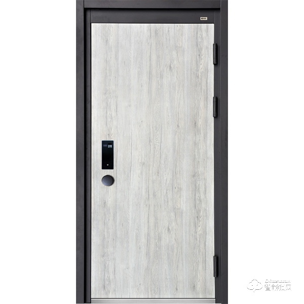 德盾智能門 甲級防盜門進戶門子母門