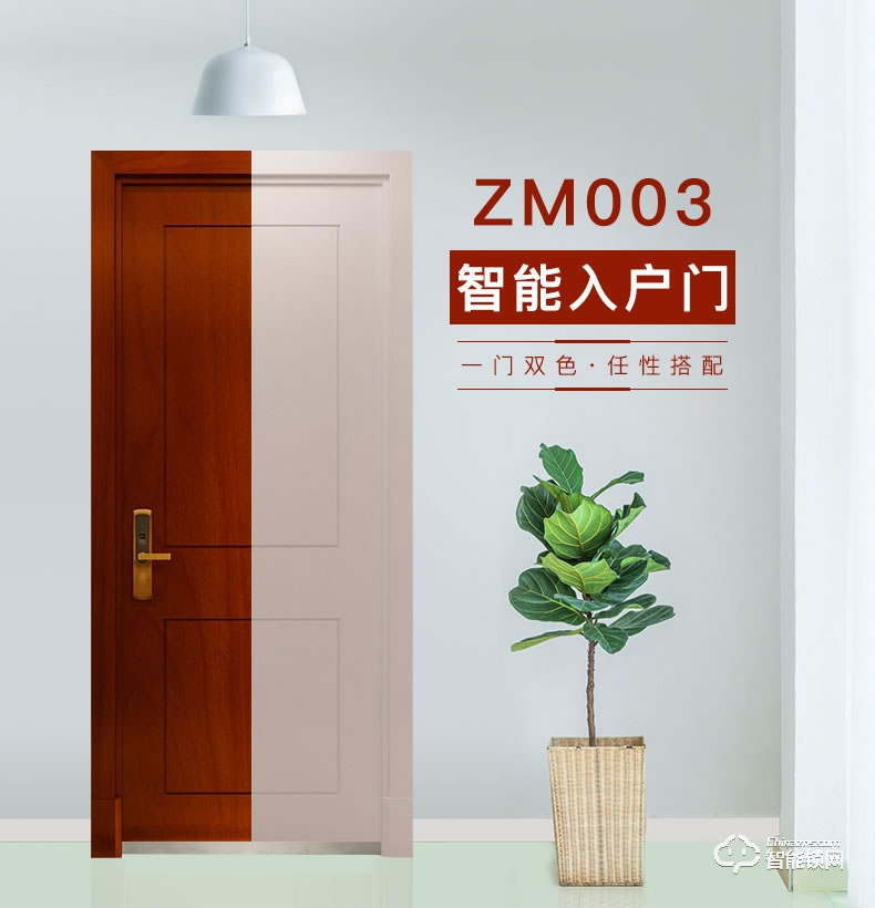 TATA智能門 ZM003T防盜入戶門