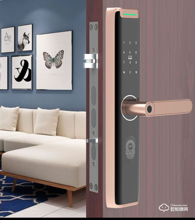 智普利智能鎖 Z9家用遠(yuǎn)程電子門鎖智能電子鎖